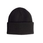 Coal Wayne Knit Beanie